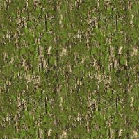 ttNATURE-CD4209 MOSS